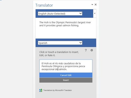 Translator for Word